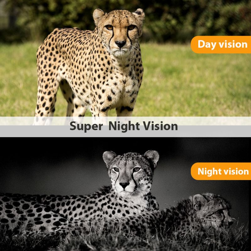 HC801M Trail Wildlife Camera 20MP 1080P Night Vision Perfect for Wildlife Photography and Animal Tracking