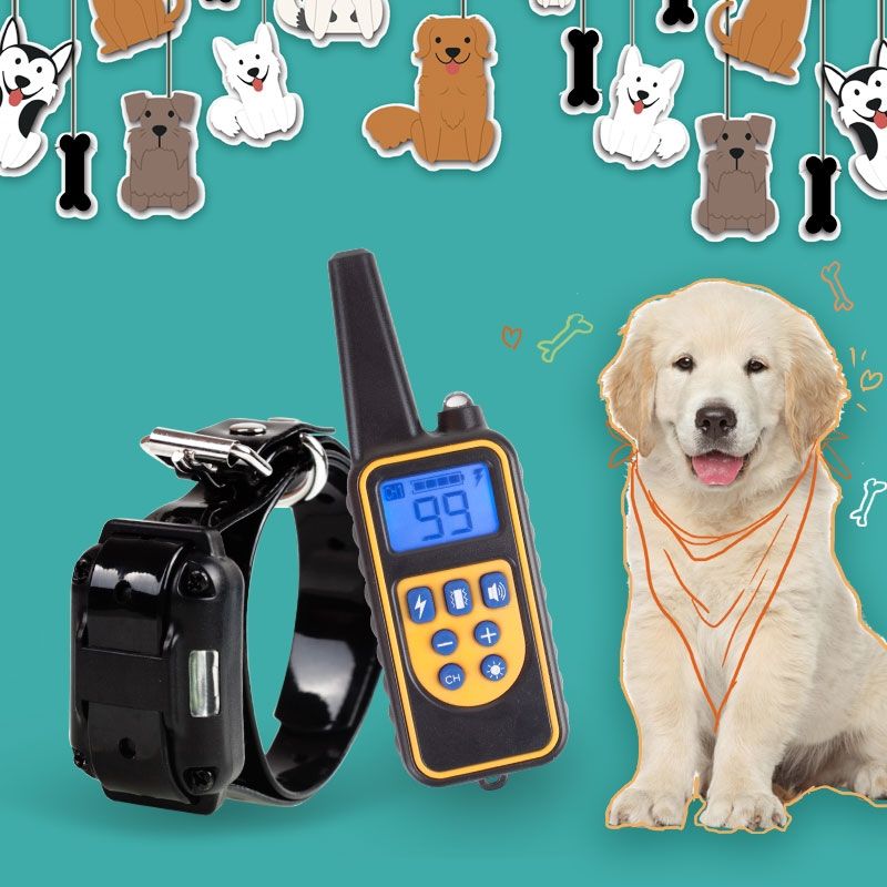 800m Electric Dog Training Collar Rechargeable Waterproof LCD Display Adjustable Levels for Dog Obedience