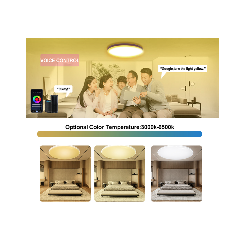 Tuya Zigbee Smart Ceiling Light 24W RGBCW Dynamic Lighting for Home Alexa Compatible Energy Efficient