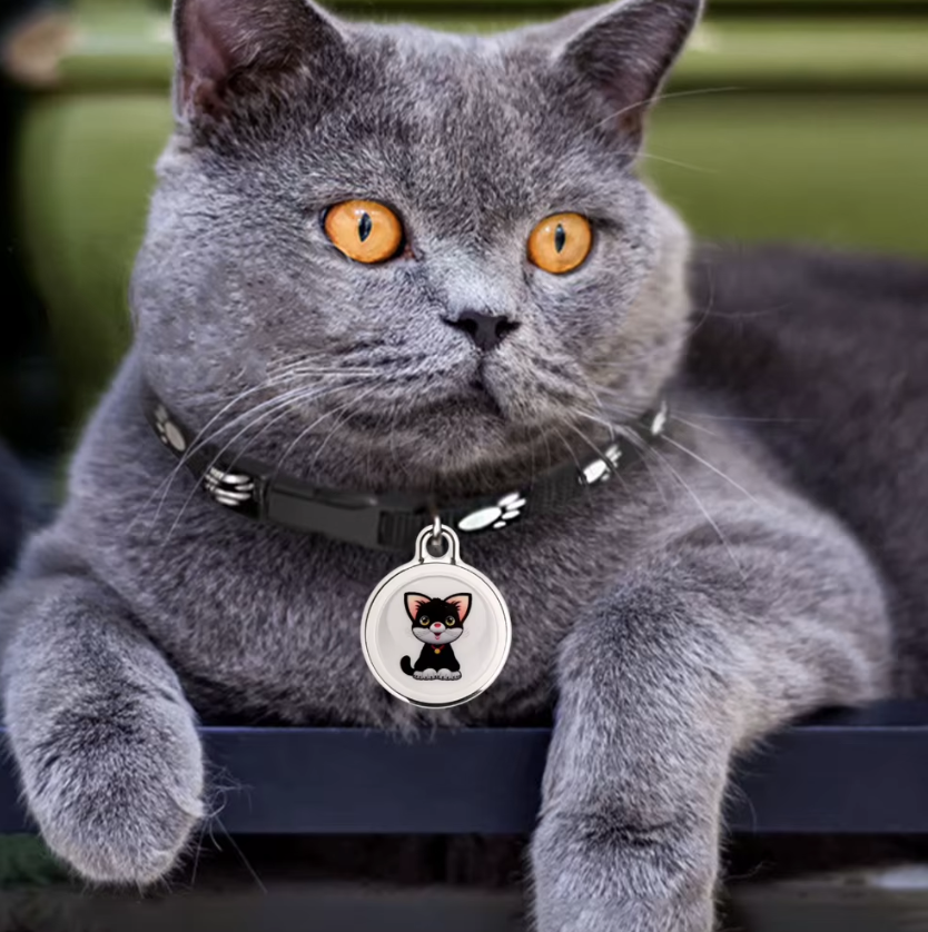 Innovative Dog Tracker Airtag Dog Collar Real-Time Location Bluetooth Tracking Pet Owner Essentials
